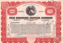 New Dominion Copper Co., сертификат на 100 акций, 1924 год.