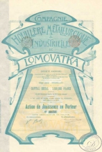 Houillere et Metallurgique and Industrielle de Lomovatka SA. Углепромышленное и металлургическое АО Ломоватки. Акция пользовательская, 1899 год.
