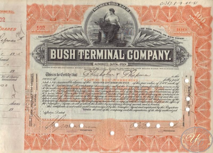 Bush Terminal Co., сертификат на 100 акций, 1925 год. ― ООО "Исторический Документ"