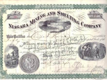 Niagara Mining and Smelting Co.Сертификат на 50 акций,1890 год.