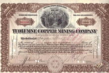 Tuolumne Copper Mining Co.,сертификат на 100 акций,1916 год.