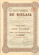 Bielaia, Hauts-Fourneaux (Донецк). Акция в 250 франков, 1899год.