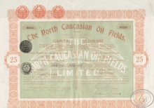 The North Caucasian Oil Fields Ltd. Сертификат на 25 акций, 1925 год.