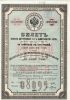 Билет Внутреннего  5% с выигрышами займа. Облигация в 100 рублей, 1866 год.
